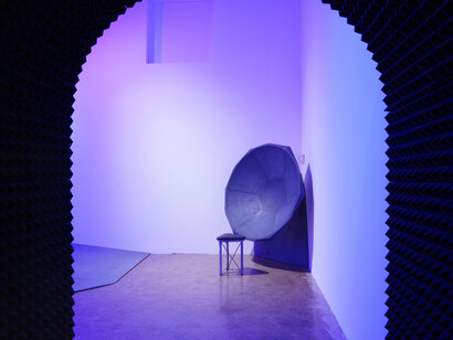 Michael Webster, Drawn breath, exhaled frequencies, exhibition view. Courtesy of Locust Projects 