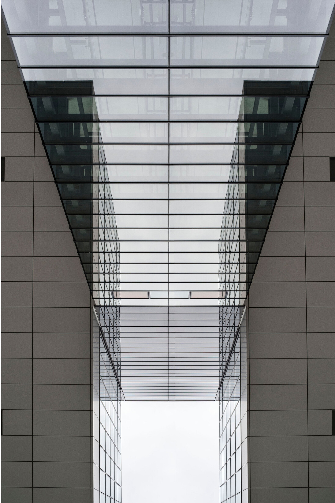 Piero Mollica, Crane, Lambda print mounted Diasec, 100 x 70 cm, - ed. 5, 2014