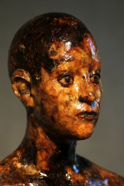 Aron Demetz. Memoridermata