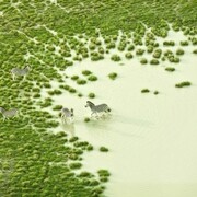 Zack Seckler, Botswana Bath 2009