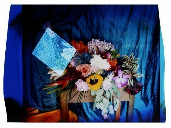 © Chloe Sells, courtesy of Michael Hoppen Contemporary