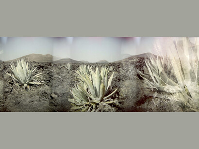 Calendario Epson 2018 - Cristina Omenetto -  Marzo