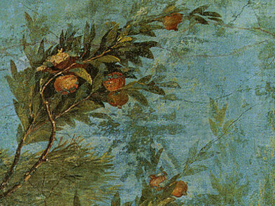 Villa di Livia, affreschi di giardino, melograno (dettaglio)