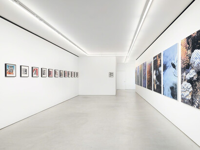 Hugh Scott-Douglas. Courtesy of Blum & Poe Gallery
