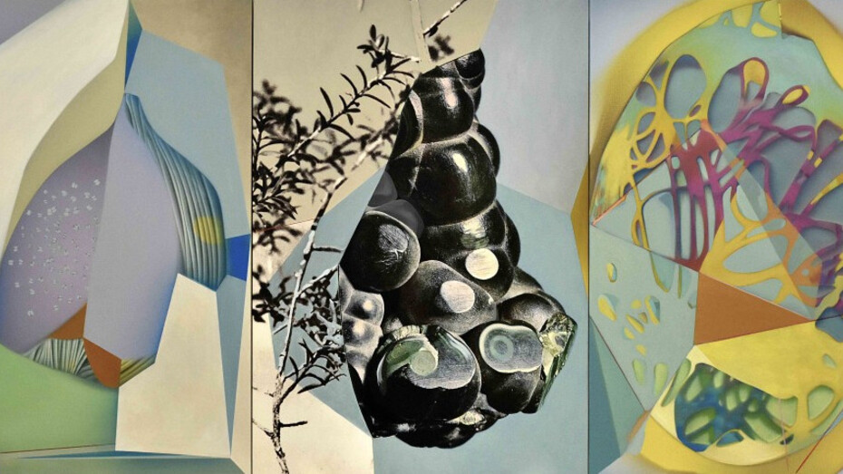 Daniel Verbis. Courtesy of Galería Pilar Serra