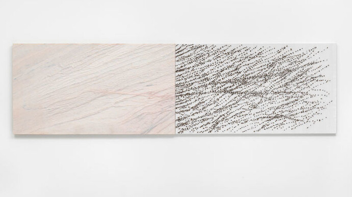 Giuseppe Penone. Courtesy of Gagosian 