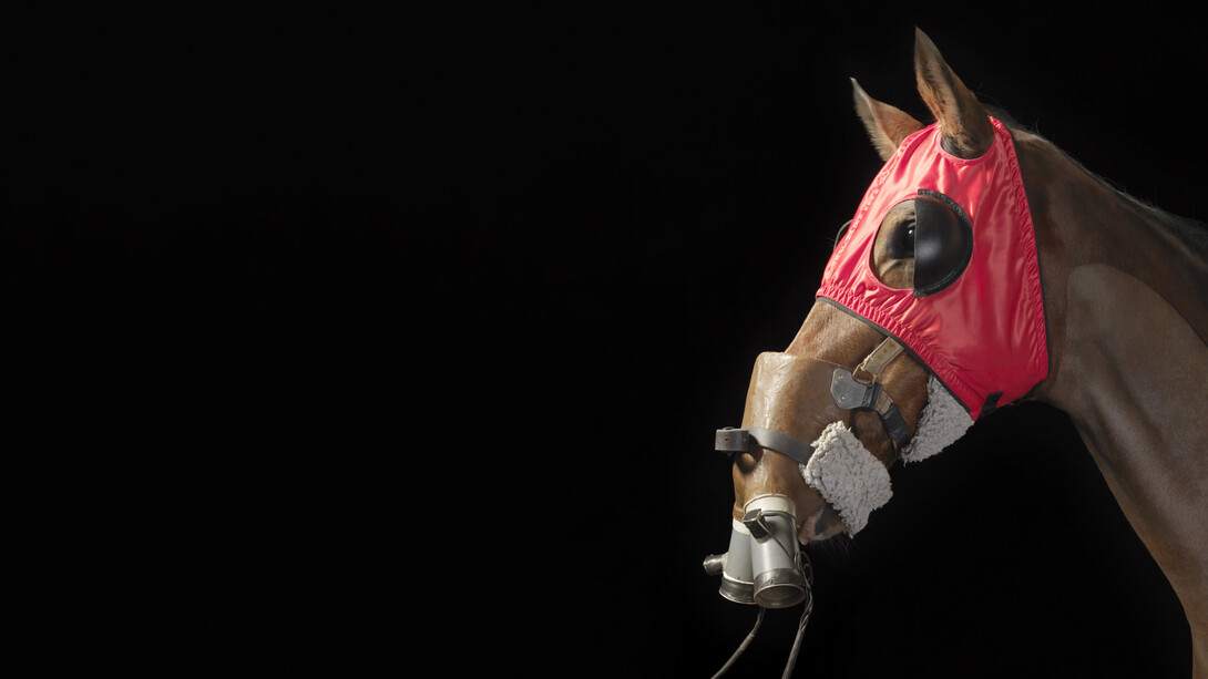 Gallery 8, Tim Flach, Masks Respiratory Measurement