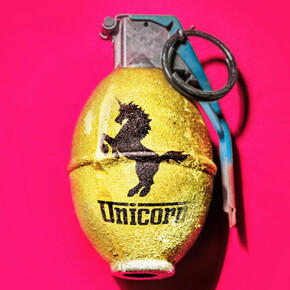 Shells. Courtesy of Lois Lambert Gallery