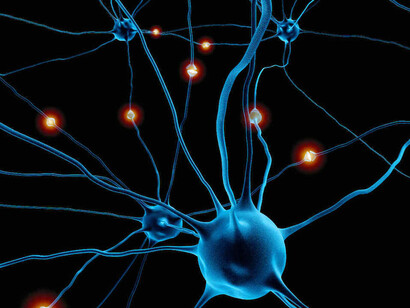 La magia de las conexiones neuronales