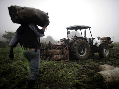 Trabajadores rurales en Costa Rica. Fotografía: Jeffrey Arguedas