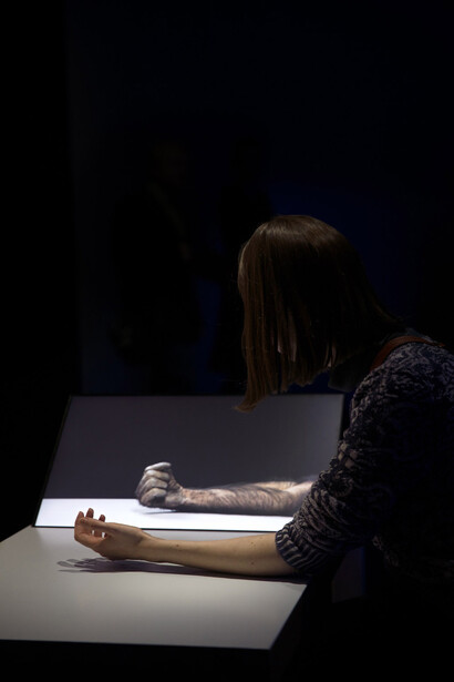 Photographed by Liisa Takala
© Crystal Eye - Kristallisilmä Oy, Helsinki
Courtesy of Marian Goodman Gallery, New York, Paris and London

