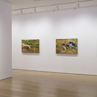 Tindara Spartà, Mad house, exhibition view. Courtesy of Bernier/Eliades Gallery