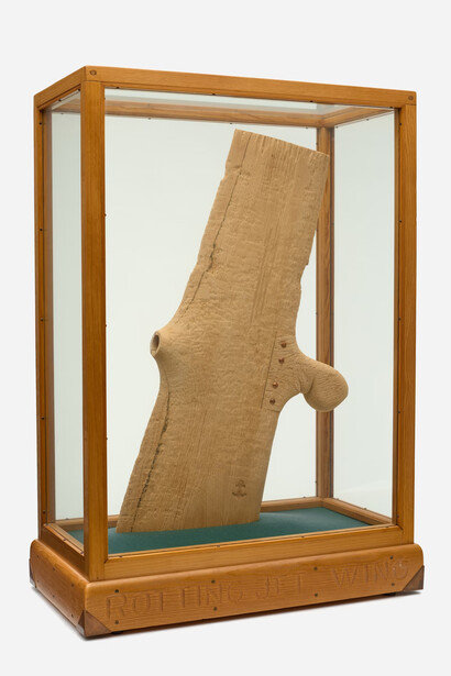 H. C. Westermann, Rotting jet wing, 1966. Courtesy of the Art Institute of Chicago