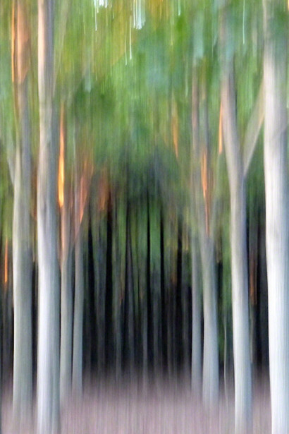 Anne Pharel, 13.09.2014(d) , 2014. Courtesy of Photo12 Galerie