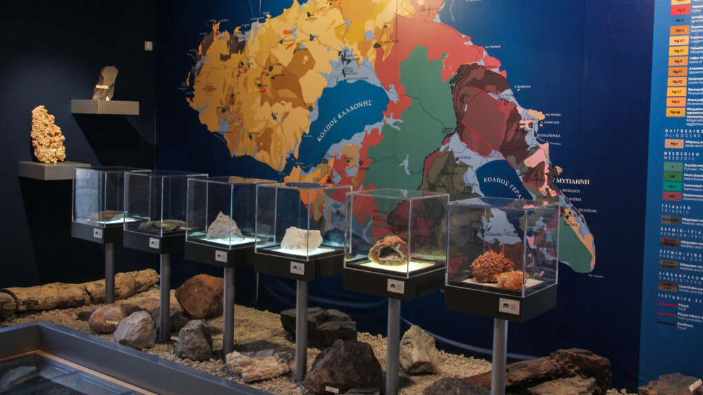 The geohistorical evolution of the Aegean, exhibition view. Courtesy of Natural History Museum of the Lesvos Petrified Forest