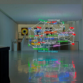 Warren Neidich. Courtesy of Priska Pasquer