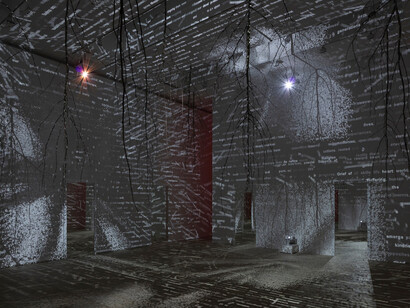 Charles Sandison, The garden of death, exhibition view. Courtesy of Galerie Forsblom