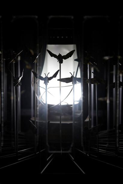 Detail from: Matt Collishaw, Magic Lantern Small, 2010. Steel frame, glass, two-way mirror, aluminium, LED lights and motor. 200 x 120 x 120 cm