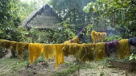 Susana Mejia (b. 1978). Tinted fique fibers drying in the Amazon, from Color Amazonia, 2006-2013. Courtesy of the artist.