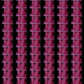 Antoine D'Agata, Sans titre, Pink, 2016. Courtesy of Galerie Les filles du calvaire