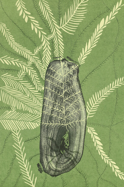 Burarrwaŋa Djomula, Dhalmula #2, 2021. Courtesy of Art Gallery of NSW