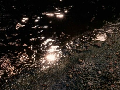 Mountain of Trash, 2020