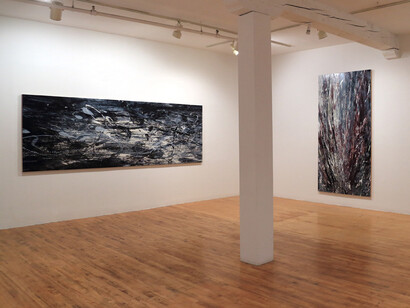 Yoon Lee, "New Work," Installation View. Courtesy the artist and Pierogi Gallery