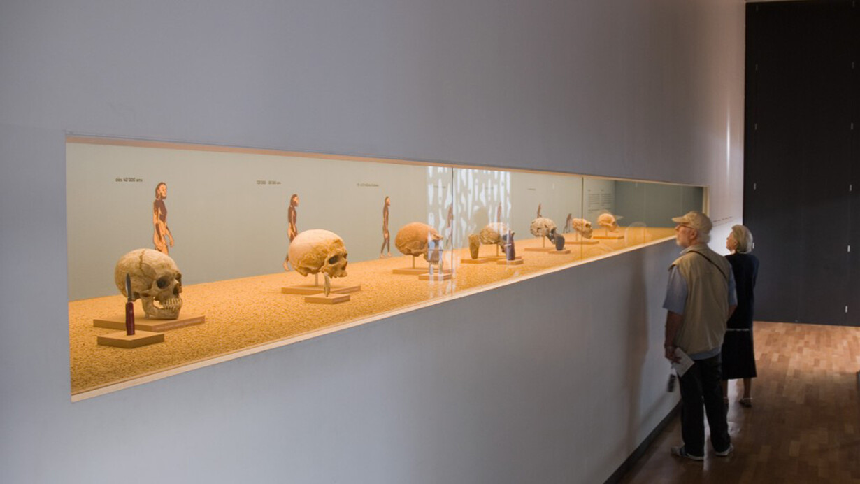 Gestern… zwischen Mittelmeer und Nordsee, Ausstellungsansicht. Mit freundlicher Genehmigung des Laténium