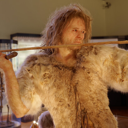 At the Natural History Museum in Vienna, the Cro-Magnon 1 model showcases a Homo sapiens man, Austria