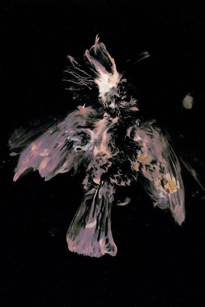Thierry Balanger, L'oiseau de feu #3 (détail), 2025. Avec l'aimable autorisation des Douches la Galerie
