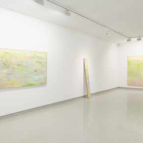 Jiŏn Kiim, Grass pillow, vista da exposição. Cortesia da Galeria Presença