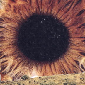 Joe Webb. Courtesy of Jealous Gallery