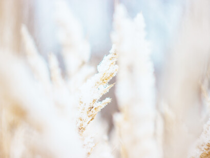 Inverno