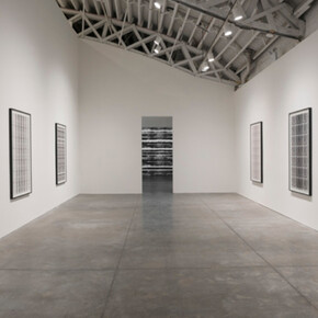 Michal Rovner. Courtesy of Pace Gallery 