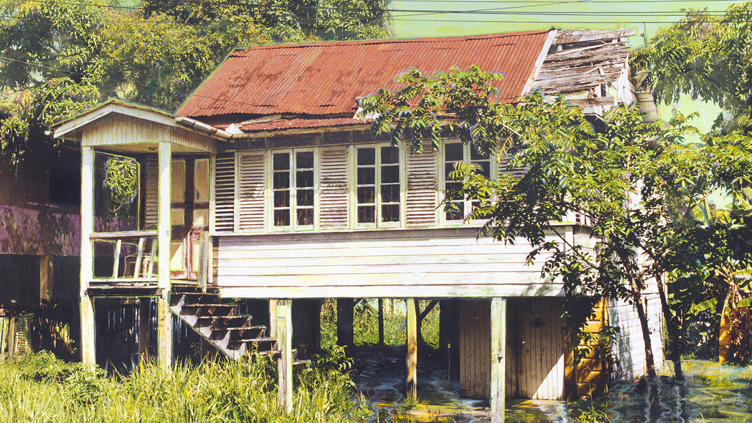 Hew Locke, Anira St., 2014, acrylic on C-Type photograph, 81.5 x 122 cm, 32 1/8 x 48 1/8 in, Image courtesy of the Artist and Hales Gallery, London, Copyright of the Artist