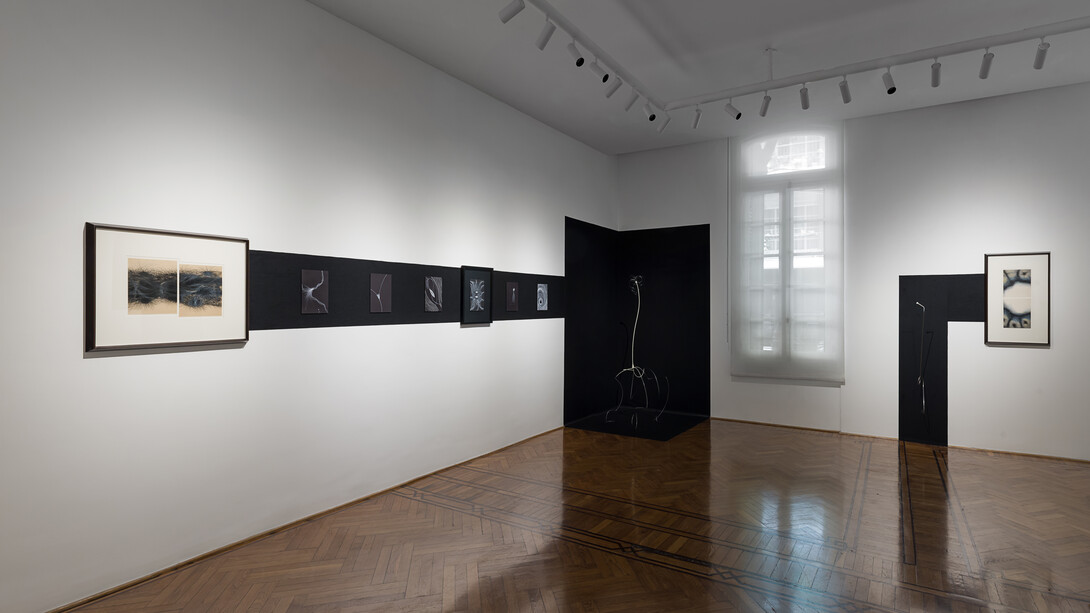 Ginevra Landini y Emilio Renart, vista de exhibición. Cortesía de la Galería Del Infinito 