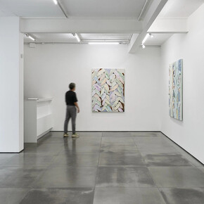 Manoela Medeiros, Um rio em mim, vista da exposição. Cortesia da Galeria Nara Roesler