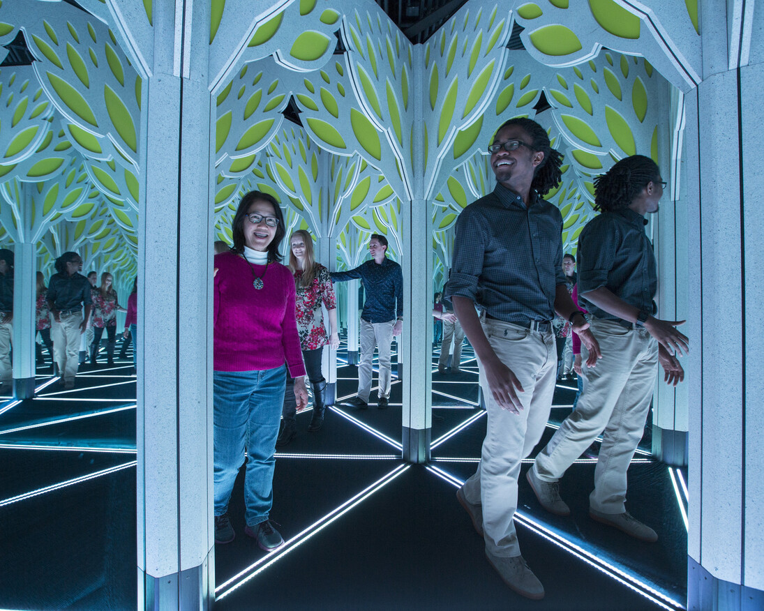 Numbers In Nature: A Mirror Maze. Courtesy of Museum of Science and Industry