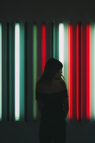 Cultura do solipsismo