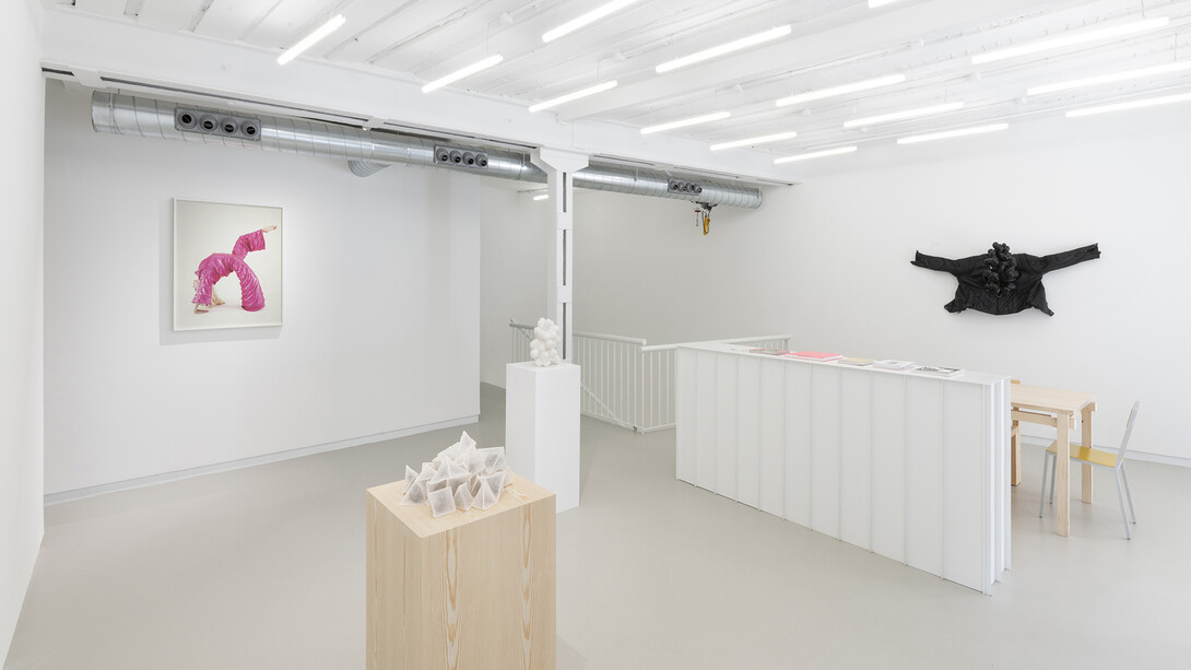 Ana Laura Aláez, Snowfall with saliva, exhibition view. Courtesy of the Ryder Projects