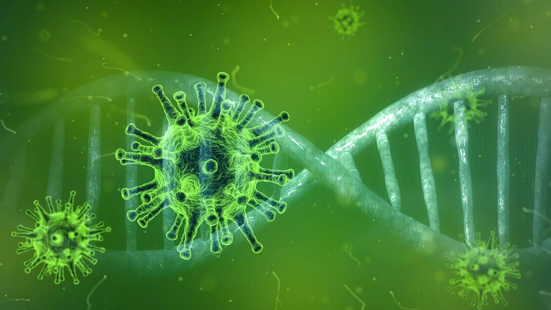 Il DNA del 2019-nCoV