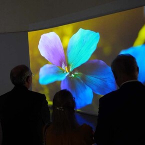 Varios artistas, Laudato sie. Naturaleza y ciencia. La herencia cultural de Fray Francisco, vista de exhibición. Cortesía de Curia Generalizia OFMConv
