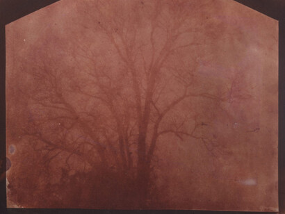 William Henry Fox Talbot and the Promise of Photography. Courtesy of Carnegie Museums of Pittsburgh