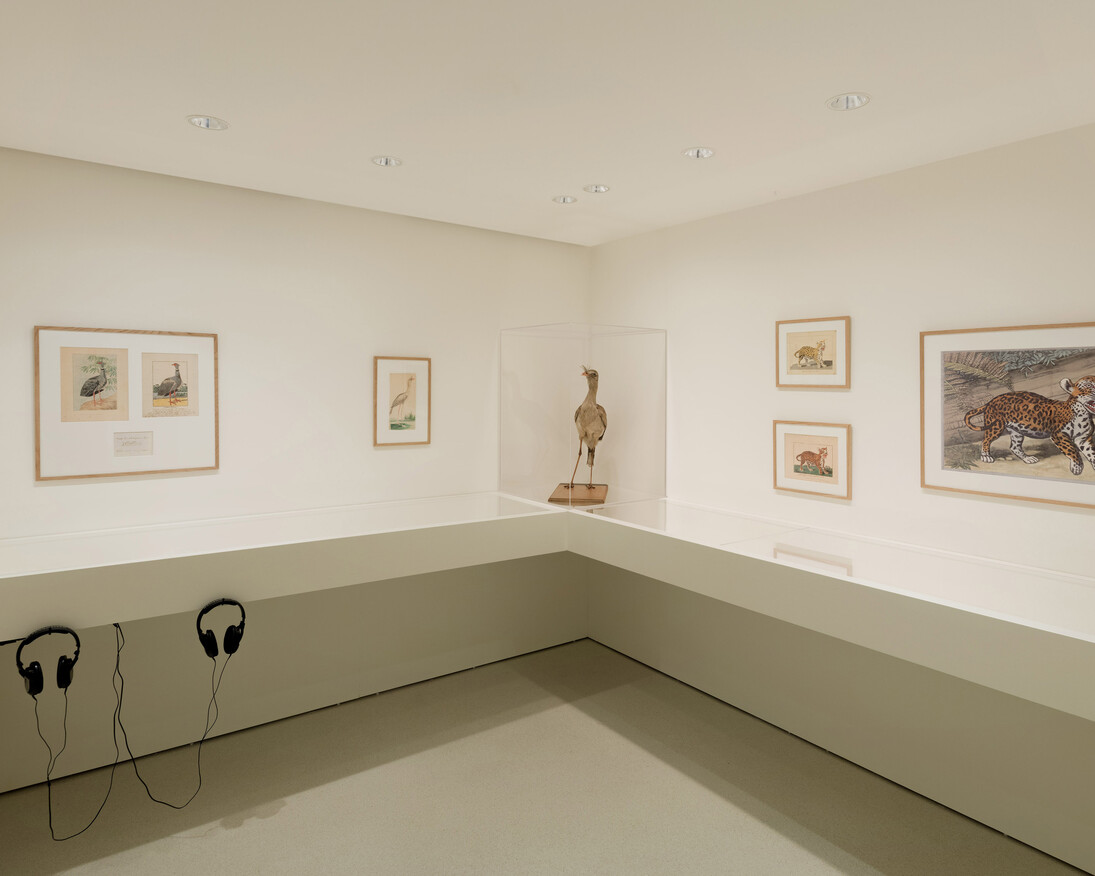 Hercule Florence, Exhibition view. Courtesy of Nouveau Musée National de Monaco