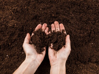 L’assenza di stimoli bellici o propagandistici consente un’osservazione più neutra dei processi biologici e sociali di base