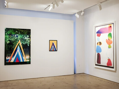 Liz Nielsen's HotSpots. Courtesy of Danziger Gallery