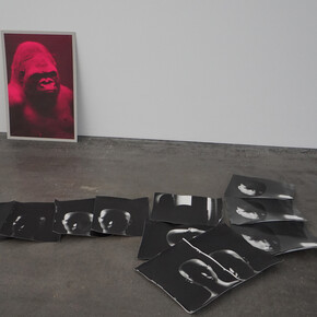 Erwin Kneihsl. Courtesy of Galerie Guido W. Baudach