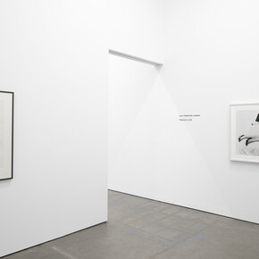 Lynn Hershman Leeson, Phantom Limb, 2023, installation view, Altman Siegel, San Francisco. Courtesy of Altman Siegel