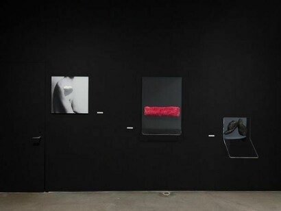 Rosemarie Trockel, November 9 – December 21, 2013, Installation view: Gladstone Gallery, New York. Photo: David Regen. Copyright Rosemarie Trockel. Courtesy Gladstone Gallery, New York and Brussels