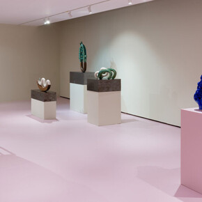 Elisa Braem, We meet in the night, exhibition view. Courtesy of Es Baluard Museu d'Art Contemporani 